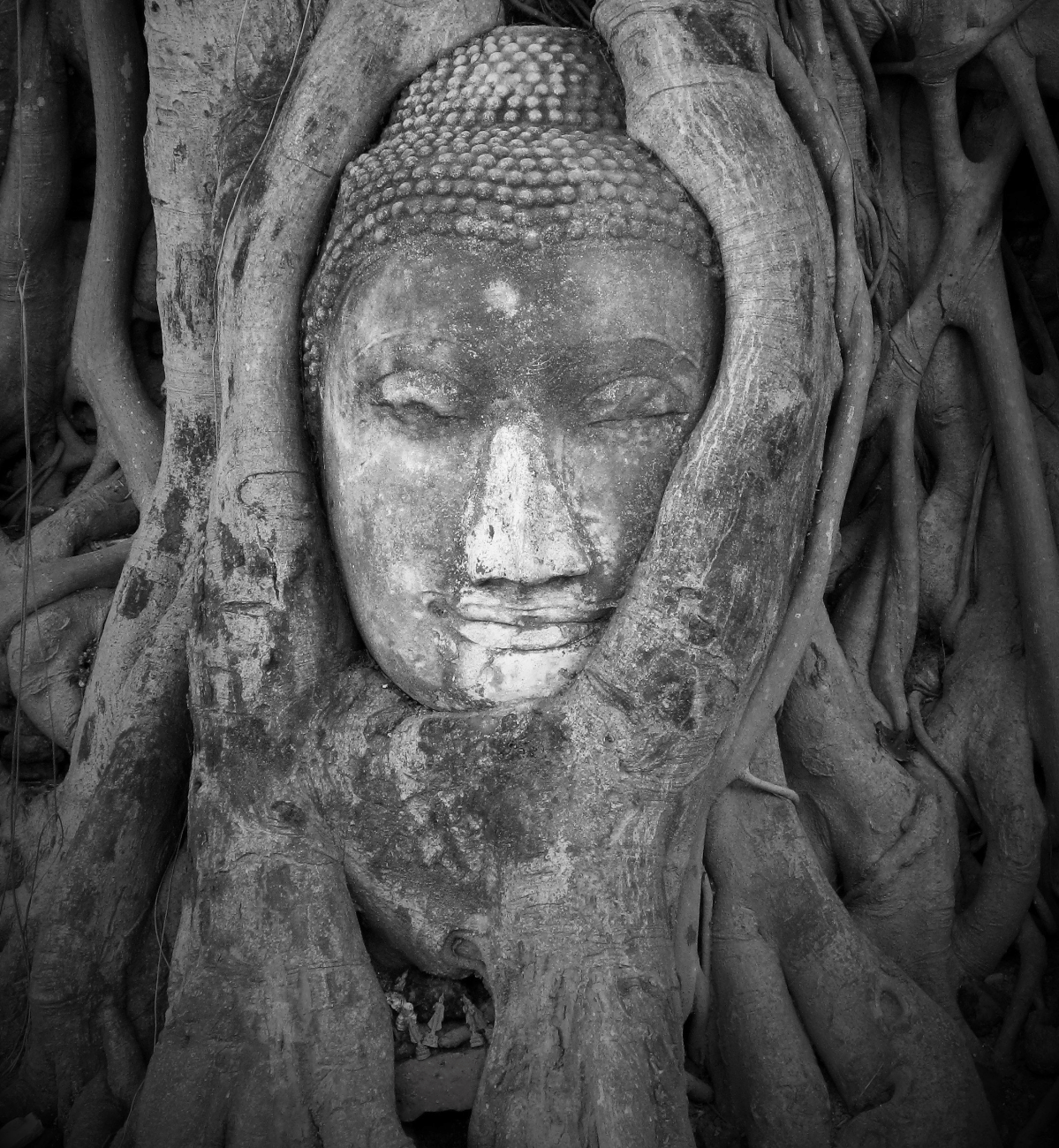 Finding Flow: Yoga and the Nervous&nbsp;System